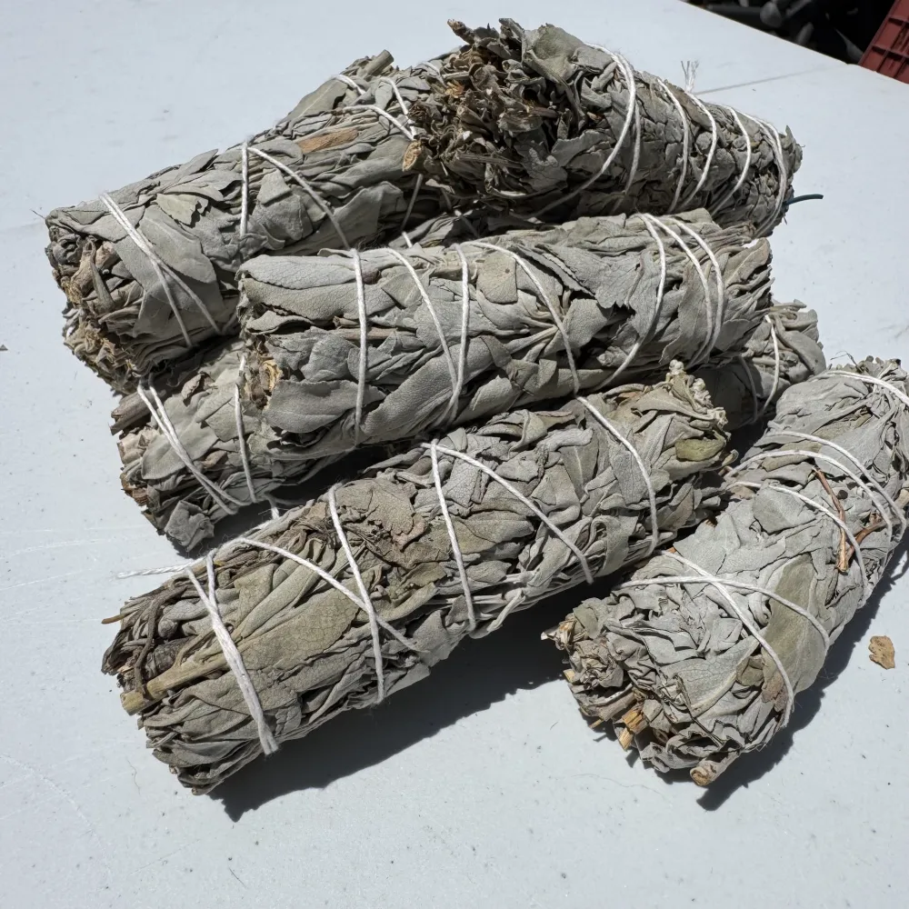 Pachet 10 buchete de salvie albă - California White Sage